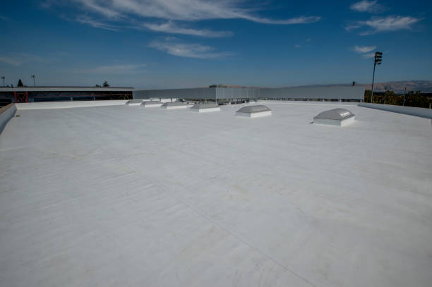 Best Roof Ventilation Installation  in Lamont, CA